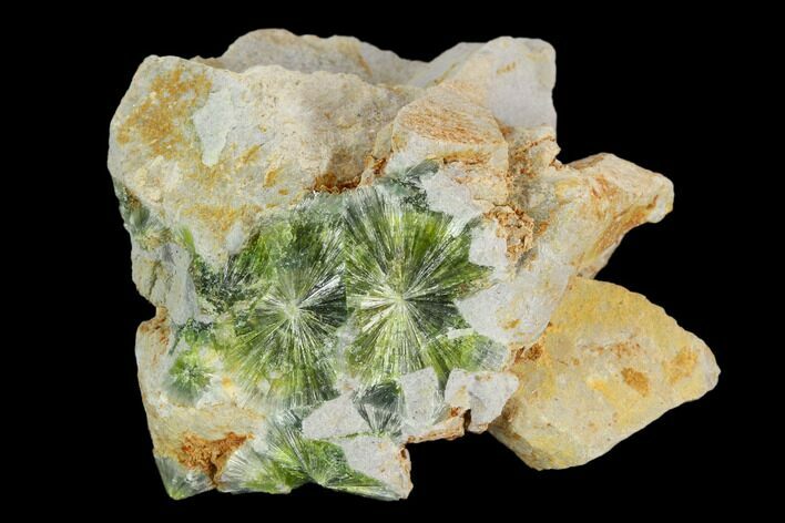 Radiating, Green Wavellite Crystal Aggregation - Arkansas #127129